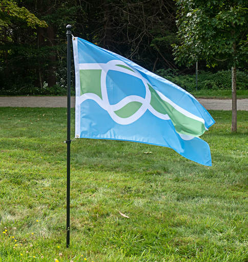 The Earth flag, designed by Joyce Audy Zarins. It is blue above and below to represent sky and water, with green to suggest land, separate by white lines. An egg shape represents organic life, including humans. 