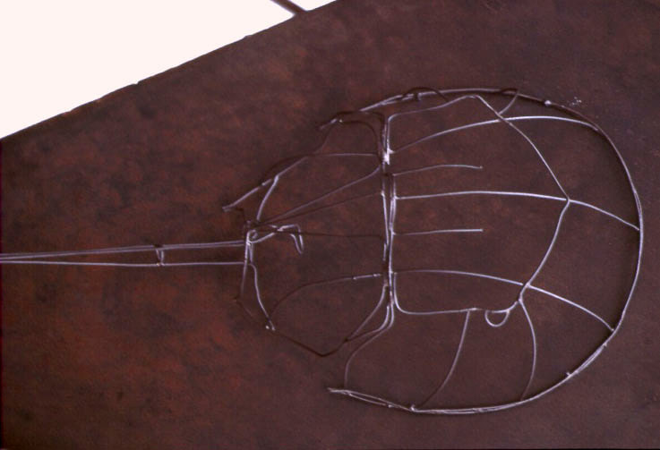 A wire horseshoe crab against the dark brown steel of the sculpture.